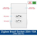 Zemismart Zigbee Smart Brazil Socket with Light Switch 10A 20A Outlets with Type-C Charging Port Work with Tuya Home APP via M1